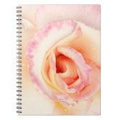 Carnet Rose de lait (Devant)
