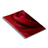 Carnet Rose de macro rouge avec gouttelettes d'eau (Côté Droit)