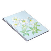 Carnet Rose de Noël, Helleborus niger (Côté Droit)