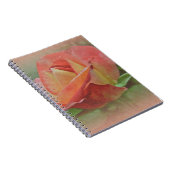 Carnet Rose de paix en fleurs (Côté Droit)