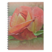 Carnet Rose de paix en fleurs (Devant)