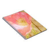 Carnet rose de pavot d'Islande (Côté Droit)