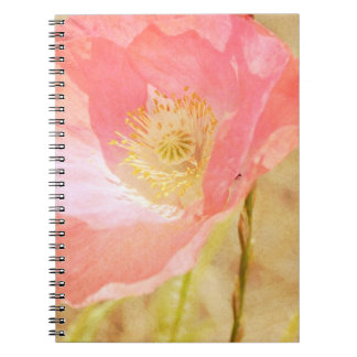 Carnet rose de pavot d'Islande