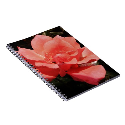 Carnet rose de pêche et détritus (Côté Droit)