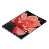 Carnet rose de pêche et détritus (Côté gauche)