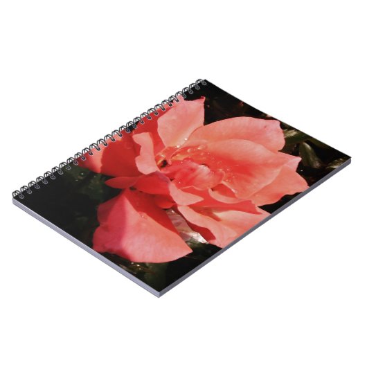 Carnet rose de pêche et détritus (Côté gauche)