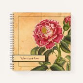carnet Rose de Provence 8,5x8,5" (Devant)