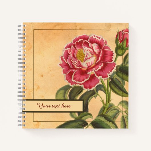 carnet Rose de Provence 8,5x8,5" (Devant)