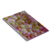 Carnet rose d'hortensia (Côté Droit)