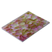 Carnet rose d'hortensia (Côté gauche)