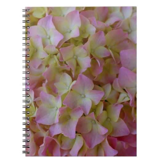 Carnet rose d'hortensia (Devant)