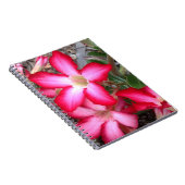 Carnet Rose du désert (Côté Droit)