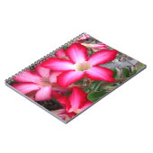 Carnet Rose du désert (Côté gauche)