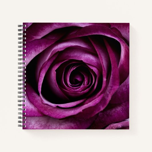 Carnet Rose élégante de couleur violet foncé (Devant)