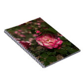 Carnet Rose et Rose blanche (Côté Droit)