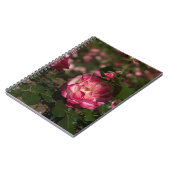Carnet Rose et Rose blanche (Côté gauche)