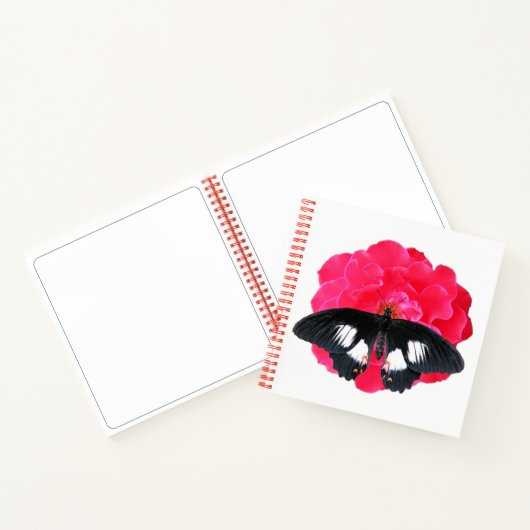 Carnet Rose et Swallowtail (Intérieur)