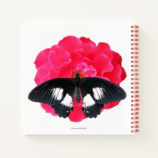 Carnet Rose et Swallowtail (Dos)