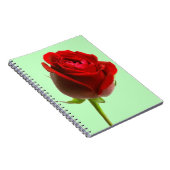 Carnet Rose et vert (Côté Droit)