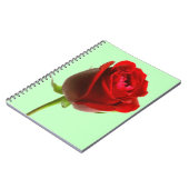 Carnet Rose et vert (Côté gauche)