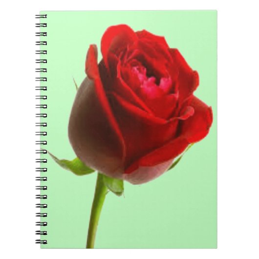 Carnet Rose et vert (Devant)