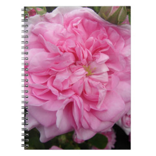 Carnet Rose florale vintage rose fleurs