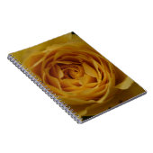 Carnet rose jaune (Côté Droit)