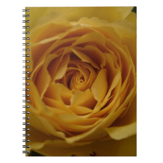 Carnet rose jaune (Devant)