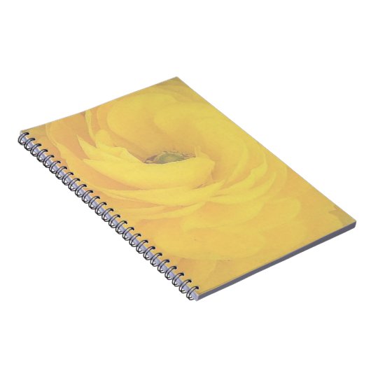 Carnet rose jaune (Côté Droit)