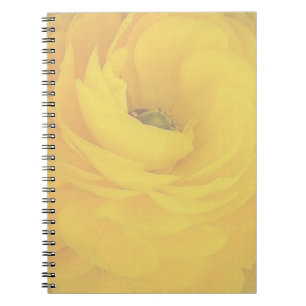 Carnet rose jaune