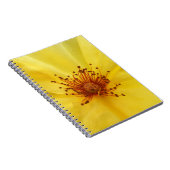 Carnet rose jaune (Côté Droit)