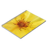 Carnet rose jaune (Côté gauche)