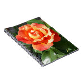 Carnet rose jaune brillant (Côté Droit)