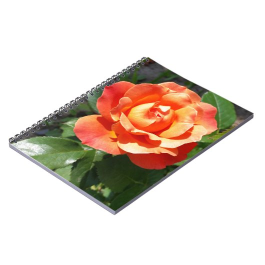 Carnet rose jaune brillant (Côté gauche)