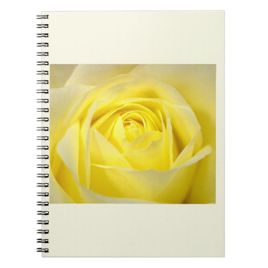 Carnet Rose jaune en gros plan (Devant)