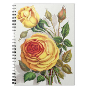 Carnet Rose Jaune et Orange de Crépuscule Botanique Vinta