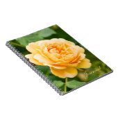 Carnet Rose jaune orange (Côté Droit)