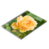Carnet Rose jaune orange (Côté gauche)