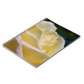 Carnet Rose jaune pâle (Côté gauche)