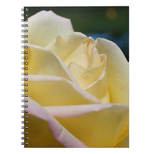 Carnet Rose jaune pâle (Devant)