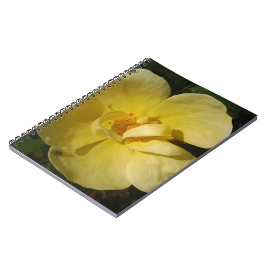 Carnet Rose jaune sauvage (Côté gauche)