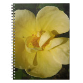 Carnet Rose jaune sauvage (Devant)
