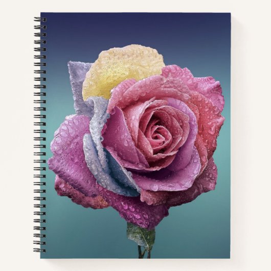 Carnet Rose multicolore (Devant)