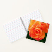 Carnet Rose orange (Intérieur)