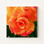 Carnet Rose orange (Dos)