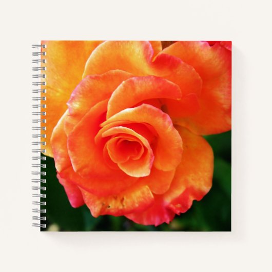 Carnet Rose orange (Devant)