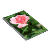 Carnet Rose pâle (Côté Droit)