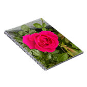 Carnet Rose rose #4 (Côté Droit)
