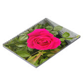 Carnet Rose rose #4 (Côté gauche)