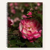 Carnet Rose & Rose blanche, Housse rigide (Devant)
